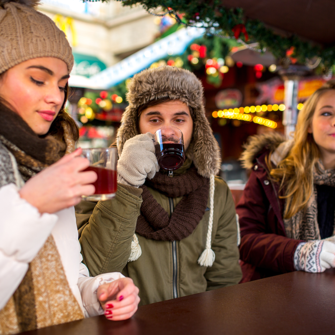 Keep Your Cat Safe This Christmas. Oxford Cat Clinic, Botley & Marston.