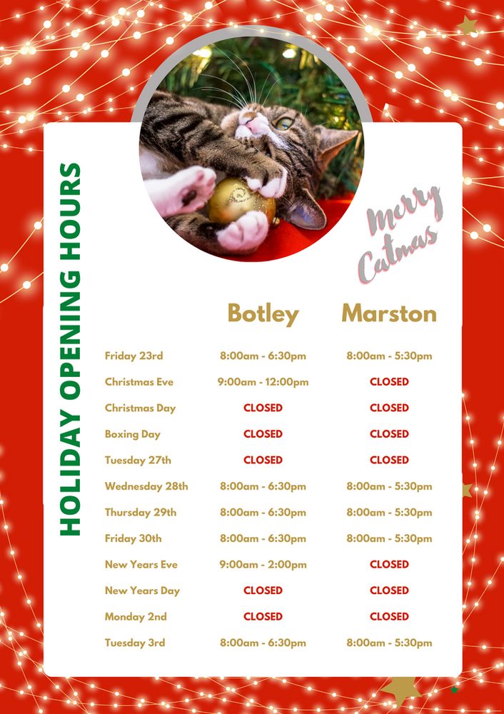 Keep Your Cat Safe This Christmas. Oxford Cat Clinic, Botley & Marston.