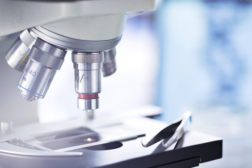 Thinking Outside the Litter Box. Oxford Cat Clinic, Botley & Marston.