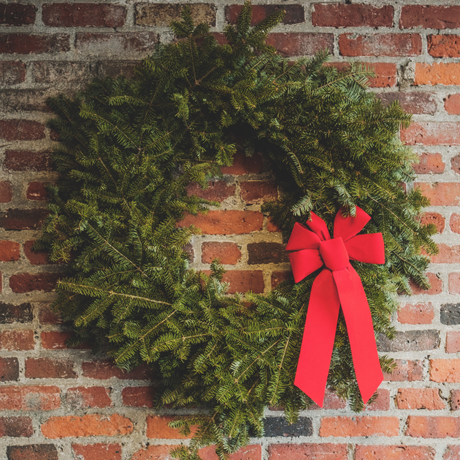 Keep Your Cat Safe This Christmas. Oxford Cat Clinic, Botley & Marston.