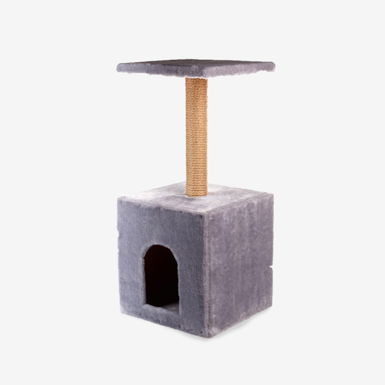 Thinking Outside the Litter Box. Oxford Cat Clinic, Botley & Marston.