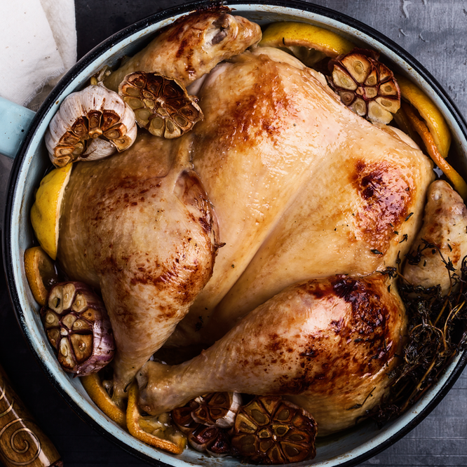 Keep Your Cat Safe This Christmas. Oxford Cat Clinic, Botley & Marston.