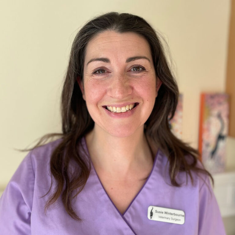 Dr Susie Winterbourne - Veterinary Surgeon at Oxford Cat Clinic, Botley & Marston.