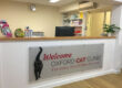 About Us. Our Vision. Oxford Cat Clinic.