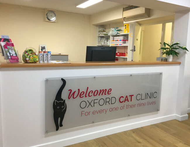 About Us. Our Vision. Oxford Cat Clinic.