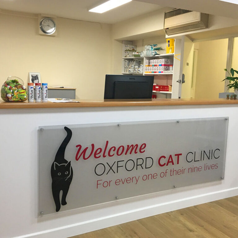 About Us. Our Vision. Oxford Cat Clinic.