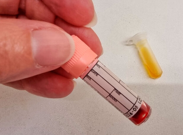 In House Lab. Facilities at Oxford Cat Clinic