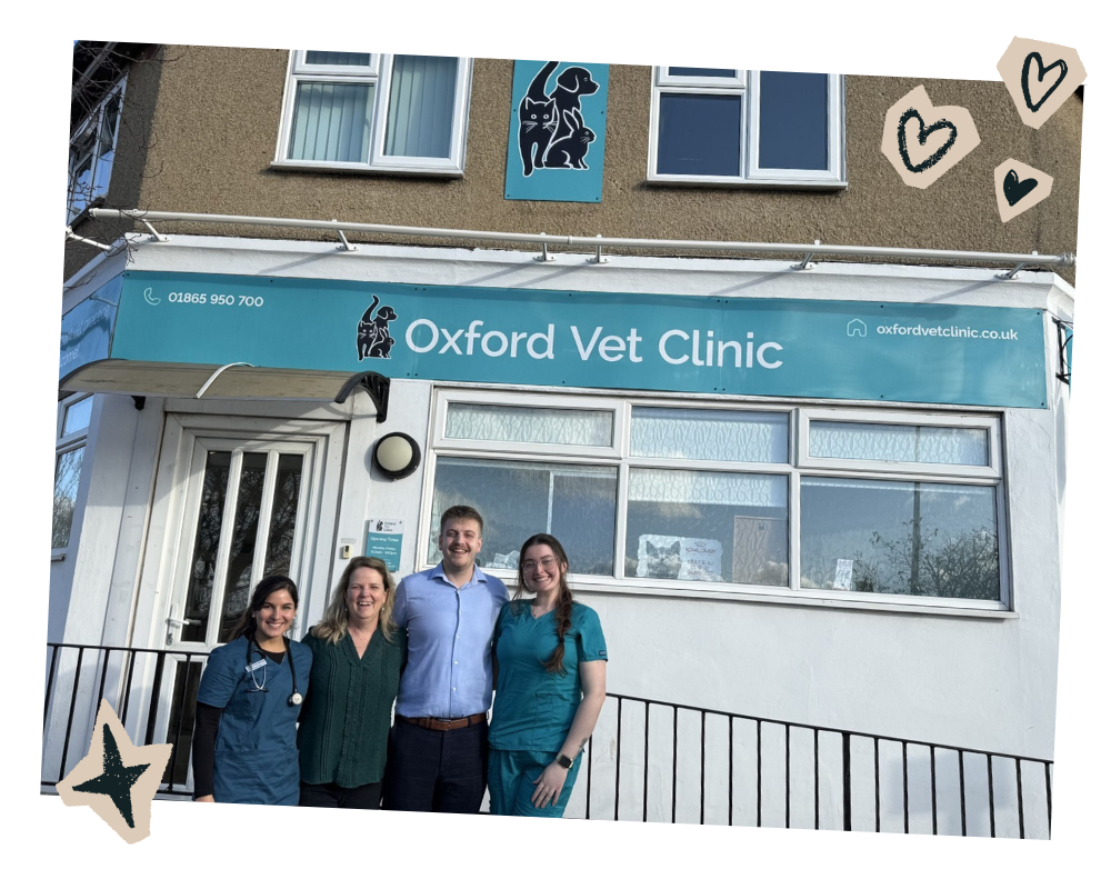 Oxford Vet Clinic team